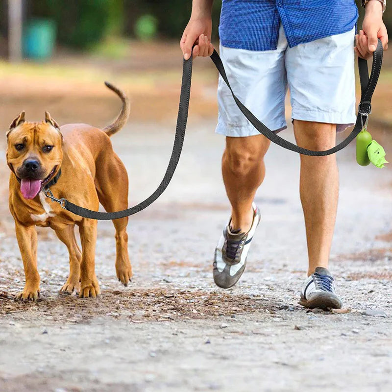 Reflective Pet Leash Rope for Cats & Dogs – Harness Lead Strap