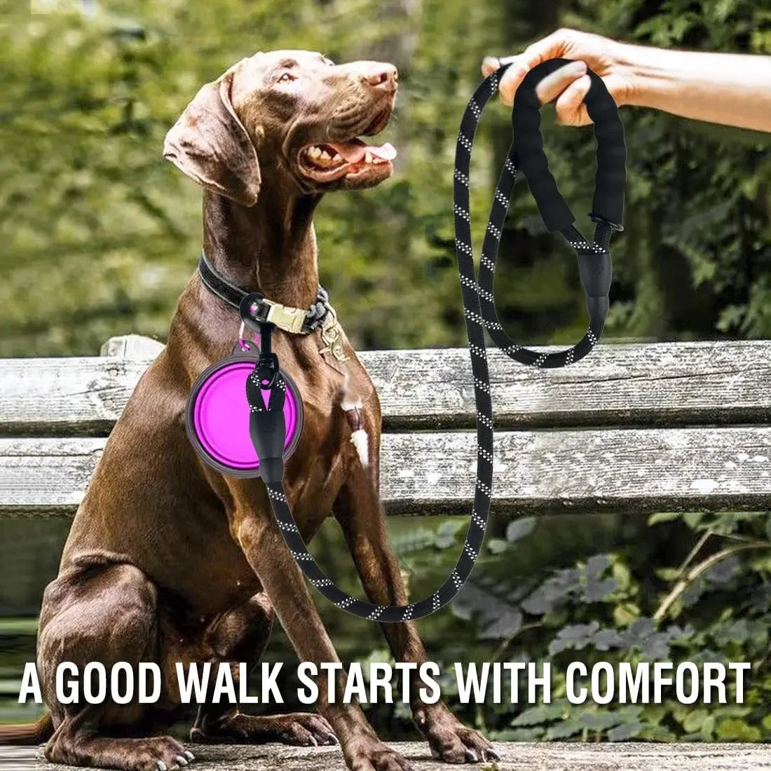 Reflective Dog Leash with Padded Handle – Heavy Duty Rope